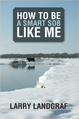 Cover How To Be A Smart SOB Like Me by Larry Landgraf