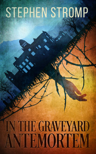 Cover In the Graveyard Antemortem by Stephen Stromp