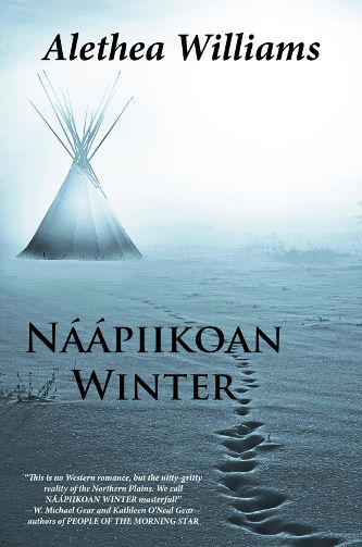 Cover Naapiikoan Winter by Alethea Williams