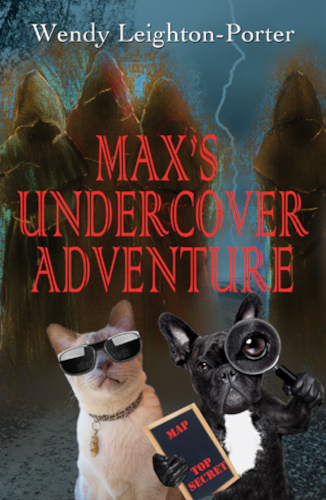 front-cover-MAXS-UNDERCOVER-ADVENTURE-by-wendy-leighton-porter