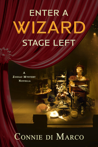 front-cover-Enter-a-Wizard-Stage-Left-by-connie-di-marco